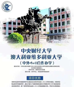 2024中财出国留学项目有哪些