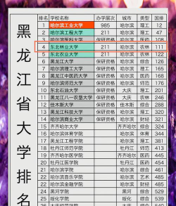 黑龙江高考292分能上的大学有哪些？