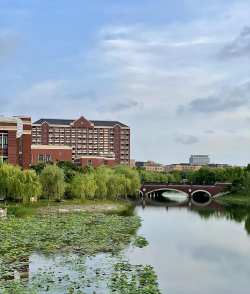 2024上交留学桥怎么样