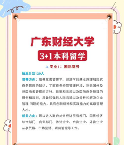 2024广东财经3+1国际班入学都不需要雅思吗