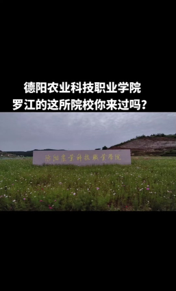 2024年德阳农业科技职业学院在山东录取分数线