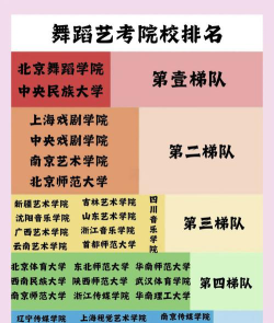 舞蹈特长生可以考什么大学