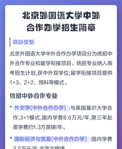 北京外国语大学合作办学怎么样