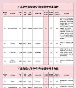 2024广东财经大学二加三项目含金量高吗