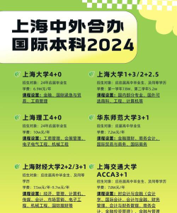 2024上海大学国际项目有哪些