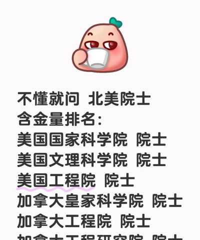 2024北外美国国际班的含金量