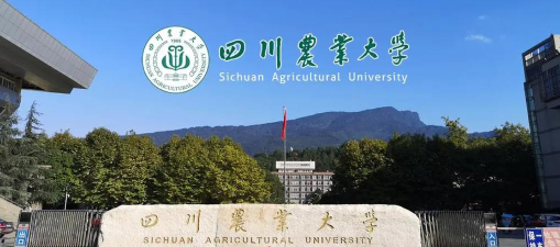 2024四川农业大学国际班在哪个校区