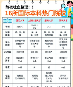 2024读国际本科好吗