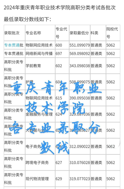 重庆青年职业技术学院2024年各省录取分数线