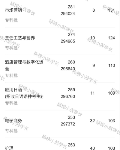 2024年四川国际标榜职业学院在浙江全部专业录取位次、分数线