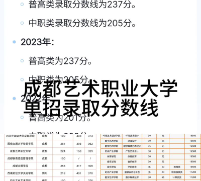 2024年成都艺术职业大学在山东全部专业录取位次、分数线