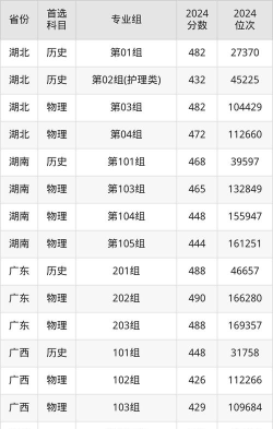 南华大学船山学院2024年在重庆各专业录取分数线