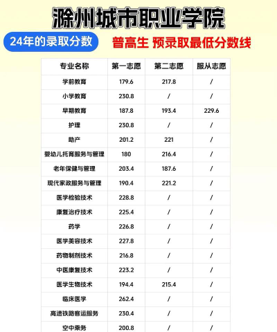 2024年滁州城市职业学院在河北全部专业录取位次、分数线