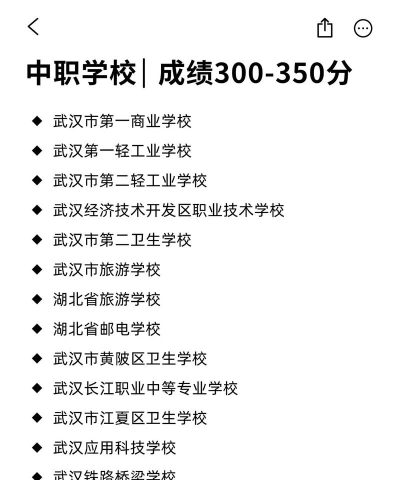 2024年思茅中考200-300分能上什么学校