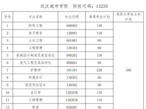 2025武汉城市学院录取分数线是多少