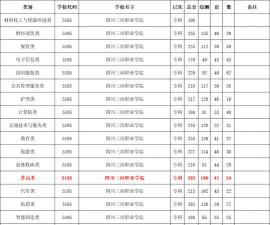 2024年四川三河职业学院在重庆全部专业录取位次、分数线