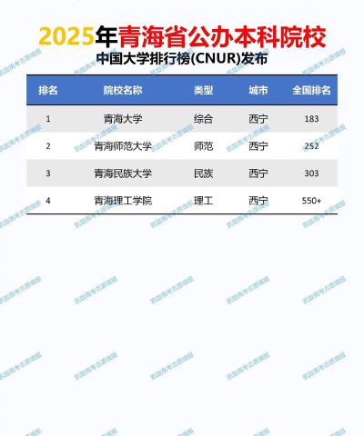 2025青海535分能上的大学有哪些