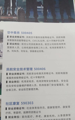 2024年绵阳飞行职业学院在辽宁全部专业录取位次、分数线