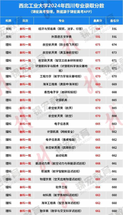 西北工业大学2024年在四川各专业录取分数线