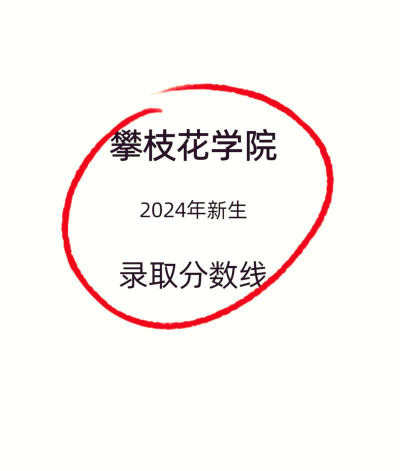 2024攀枝花学院在贵州录取分数线