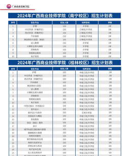 广西商业技师学院2024年学费多少钱一年