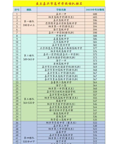 2024年嘉兴中考200-300分读什么普高