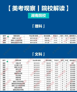 四川美术学院2024年在湖南各专业录取分数线