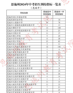 2024年恩施中考200-300分可以读什么学校