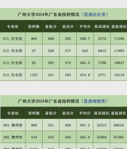 广州大学2024年在河南各专业录取分数线