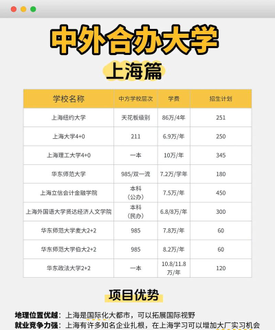上海中外合作办学好进吗