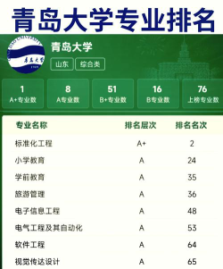 青岛大学中外合作提供哪些专业