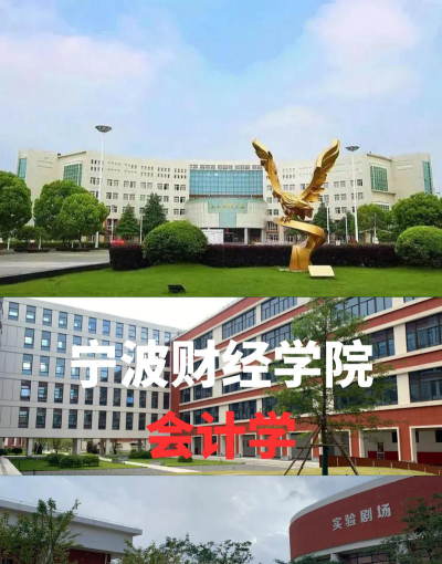 宁波财经学院财务管理专业怎么样
