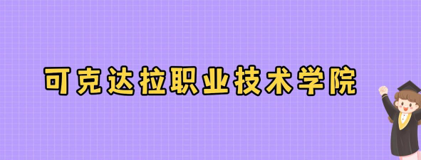 可克达拉职业技术学院2025录取分数线整理