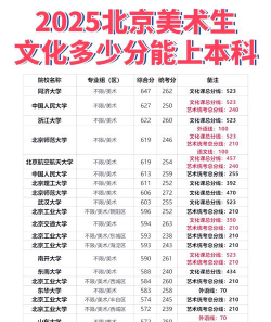 2025美术生文化课491分能上亳州学院吗