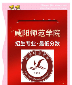 2025美术生文化课493分能上咸阳师范学院吗