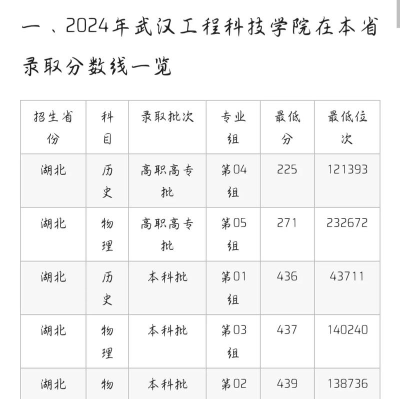2024武汉工程科技学院在山东录取分数线