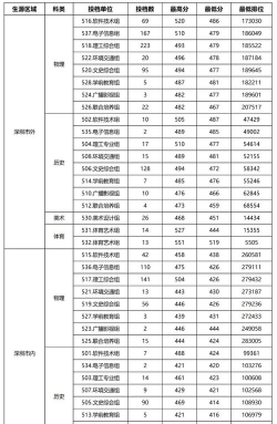 2025舞蹈生文化课424分能上深圳信息职业技术学院吗