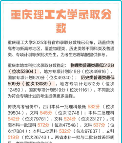 2025艺考多少分能上重庆理工大学