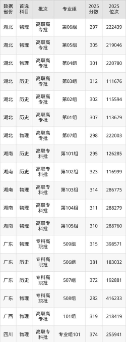 上海震旦职业学院2024各省录取分数线及最低位次是多少