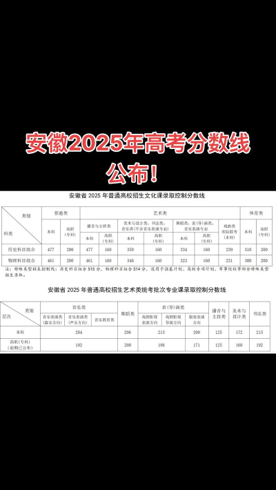2025艺考生文化课486分能上安徽师范大学吗