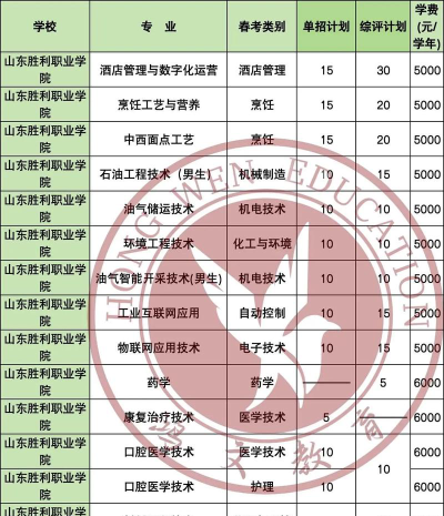 山东胜利职业学院电气自动化技术专业怎么样