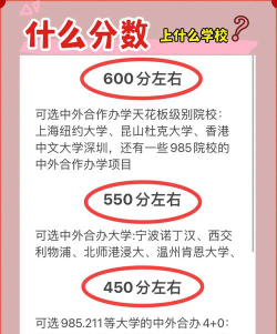 中外合作办学能复读吗
