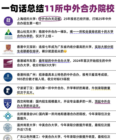 中外合作办学公共管理专业有哪些大学