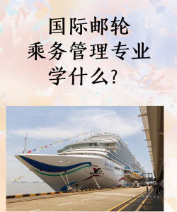 2025年393分能考国际邮轮乘务管理专业吗