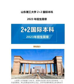 山东理工大学中外合作办学项目有哪些