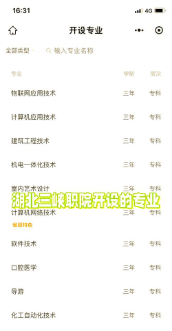 2024湖北三峡职业技术学院在宁夏录取分数线