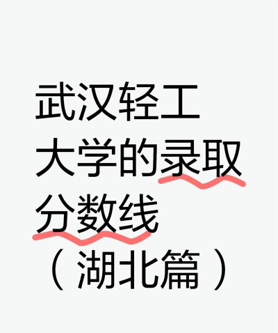 2024年武汉轻工大学在湖南录取分数线