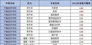 2024齐鲁医药学院在宁夏录取分数线
