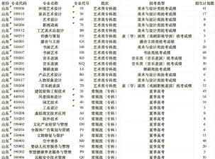 高职公共艺术设计专业具体学什么