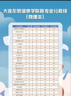 2025舞蹈生文化课413分能上大连东软信息学院吗
